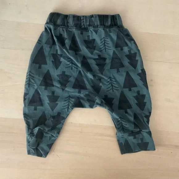Hanna Andersson - Forest Drop Waist Pants - 6-12 months - Picture 3 of 5
